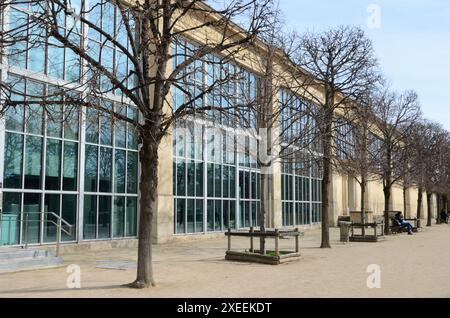 Paris, Frankreich - 20. März 2023: Bäume neben der seitlichen Fassade des Orangerie-Museums, eine Kunstgalerie in der westlichen Ecke des Tuilers Stockfoto