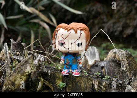 Funko Pop Actionfigur der Chucky Serienmörderpuppe aus Horrorfilmen Child's Play. Moody, düster, gruselig, dunkelgrüner Wald, Baumstumpf. Stockfoto