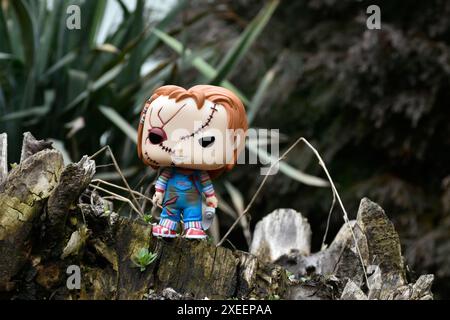 Funko Pop Actionfigur der Chucky Serienmörderpuppe aus Horrorfilmen Child's Play. Moody, düster, gruselig, dunkelgrüner Wald, Baumstumpf. Stockfoto