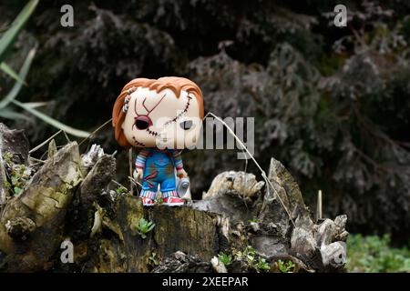 Funko Pop Actionfigur der Chucky Serienmörderpuppe aus Horrorfilmen Child's Play. Moody, düster, gruselig, dunkelgrüner Wald, Baumstumpf. Stockfoto