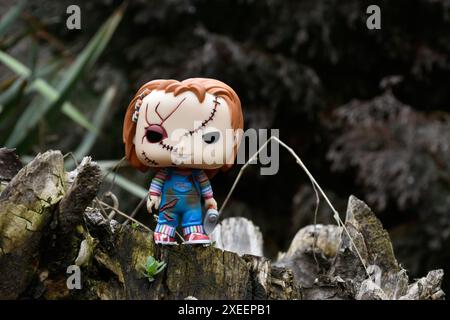 Funko Pop Actionfigur der Chucky Serienmörderpuppe aus Horrorfilmen Child's Play. Moody, düster, gruselig, dunkelgrüner Wald, Baumstumpf. Stockfoto