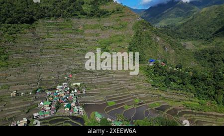 Batad Rice Terrassen auf den Philippinen Stockfoto