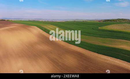 Grüne, wellenförmige Hügel mit landwirtschaftlichen Feldern Stockfoto