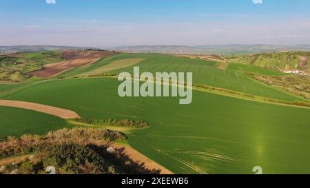 Grüne, wellenförmige Hügel mit landwirtschaftlichen Feldern Stockfoto