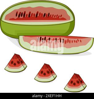 Ganze und gehackte Ali Baba Watermelon. Citrullus lanatus. Gemüse. Clipart. Isolierte Vektordarstellung. Stock Vektor
