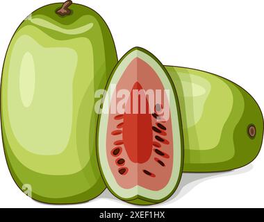 Ganze und gehackte Ali Baba Watermelon. Citrullus lanatus. Gemüse. Clipart. Isolierte Vektordarstellung. Stock Vektor