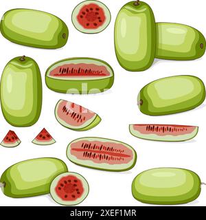 Set von Ali Baba Watermelon. Citrullus lanatus. Obst und Gemüse. Clipart. Isolierte Vektordarstellung. Stock Vektor