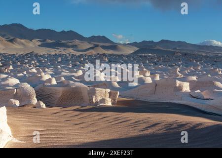 Der Campo de Piedra Pomez ist ein riesiges Feld aus vulkanischem Gestein und Sanddünen im Herzen der Provinz Catamarca, Argentinien Stockfoto