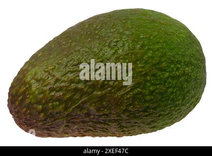 Ganze grüne Avocado Frucht isoliert auf weißem Hintergrund, lecker und gesund Stockfoto