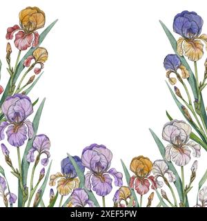 Ein Rahmen mit Iris in verschiedenen Farben auf weißem Hintergrund. Aquarellillustration provenzalischer Sommerblumen. Elegante Iris sind für uns geeignet Stockfoto