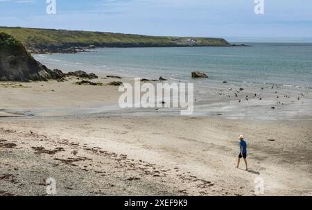 Mann mit Hut, der am Strand entlang läuft, lässt die Seevögel wegfliegen Stockfoto