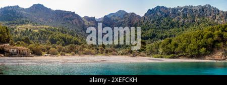 Die Cala Tuent, die in der Morgensonne getaucht ist, verfügt über einen Kieselstrand, der von Olivenbäumen umgeben ist und einen Blick auf die Berge der Serra de Tramuntana bietet. Stockfoto