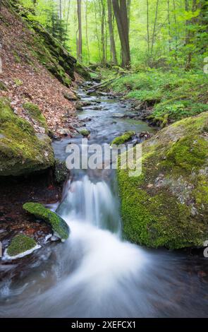 Ein kleiner Wasserfall und moosige Felsen in einem Wald Stockfoto