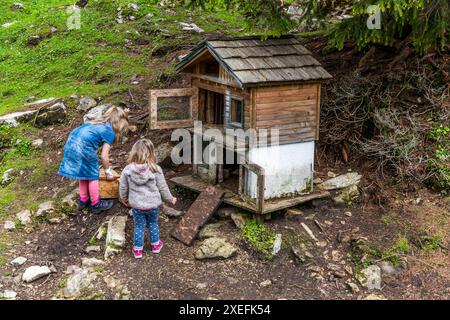 Kinder im grossen Meerschweinchengehege auf der Filzmoosalm, Grossarltal. Meerschweinchen sind eine Attraktion für Kinder auf der Filzmoosalm, Großarl, Salzburg, Österreich Stockfoto