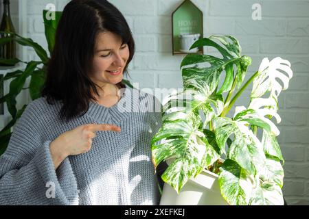 Die Frau hält die heimische Pflanze seltenes Varieté Monstera Alba in einen Topf im Innenraum. Stockfoto