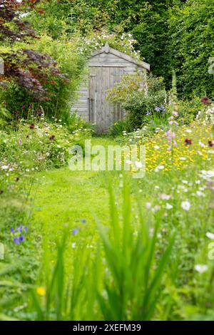 Wildtierfreundlicher Garten mit Weg, der durch blühenden Rasen gemäht wird, und nektarreichen Blumen in dicht bepflanzten Borders, Schottland, Großbritannien Stockfoto