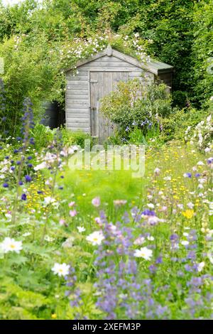 Wildtierfreundlicher Garten mit Weg, der durch blühenden Rasen gemäht wird, und nektarreichen Blumen in dicht bepflanzten Borders, Schottland, Großbritannien Stockfoto