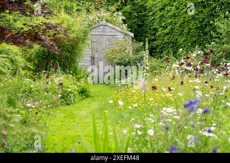 Wildtierfreundlicher Garten mit Weg, der durch blühenden Rasen gemäht wird, und nektarreichen Blumen in dicht bepflanzten Borders, Schottland, Großbritannien Stockfoto