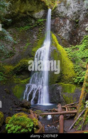 Bewegungsunscharfes Wasser der Marymere Falls im Olympic National Park in Washington Stockfoto