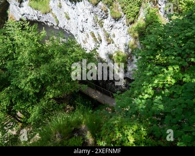 Eine schmale Holzbrücke überquert einen üppig grünen Wald und führt zu weißen Klippen Stockfoto