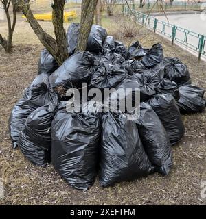 Frühlingsmüll und Blätter des letzten Jahres in schwarzen Säcken in der Nähe des Baumes Stockfoto