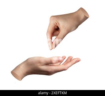 Hand kneifen, nehmen, geben, pflücken. Finger greifen, halten. Flehen, betteln. Gestenzeichen, Dewomanding, Bitte. Isoliert auf weiß. Stockfoto