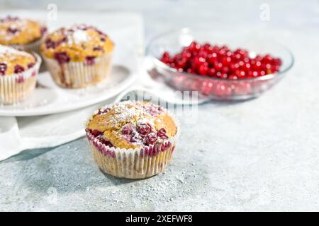 Hausgemachte Muffins mit roten Johannisbeeren gebacken und mit Puderzucker bestreut, fruchtiges Sommerdessert auf hellem Steinhintergrund, Kopierraum, ausgewählt für Stockfoto