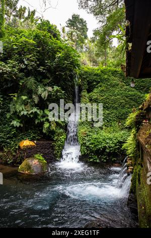 Ein kleiner Tempel, der für heilige Waschungen benutzt wird. Heiliges Wasser in Bali, Indonesien Stockfoto