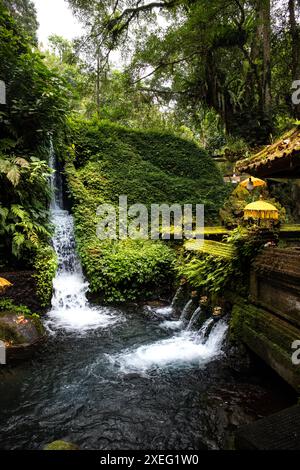 Ein kleiner Tempel, der für heilige Waschungen benutzt wird. Heiliges Wasser in Bali, Indonesien Stockfoto