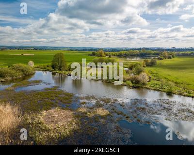 Schönen Frühling Landschaft mit einem kleinen Teich. Stockfoto