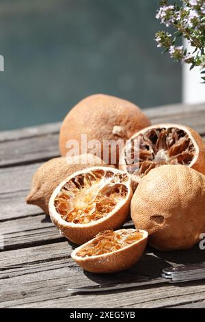 Zitrus sinensis, Orangen, getrocknet Stockfoto