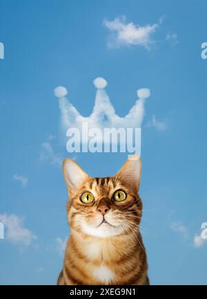 Lustige rote Katze am Himmel mit einer Wolkenkrone. Stockfoto