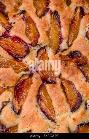 Köstlicher süßer aromatischer hausgemachter Kuchen mit Reifen Pflaumen Stockfoto