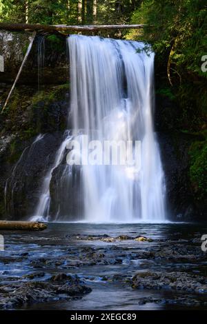 Der Vorhang aus seidenem Wasser fällt über die Upper North Falls am North Fork Silver Creek im Silver Falls State Park Stockfoto