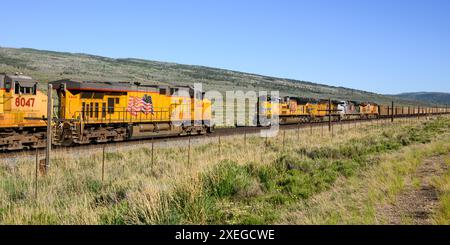 Helper, UT, USA – 11. Juni 2024; zwei Kohlezüge der Union Pacific, die bei Sonnenschein in der Nähe des Soldier Summit in Utah vorbeifahren Stockfoto