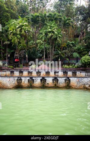 Heiße Quellen, Thermalbad im tropischen Dschungel. Rituelles Schwefelbad zum Schwimmen. Banjar, Bali Stockfoto