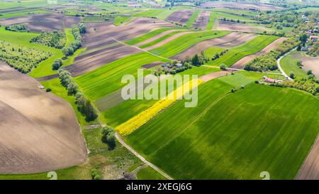 Wunderschönes Ackerland und landschaftlich reizvolle Landschaft in Ponidzie, Polen. Drohnenansicht aus der Luft Stockfoto