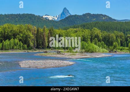 Mittlerer Fork Flathead River unterhalb des Mount saint nicholas im Gletscher-Nationalpark in der Nähe von nyack, montana Stockfoto