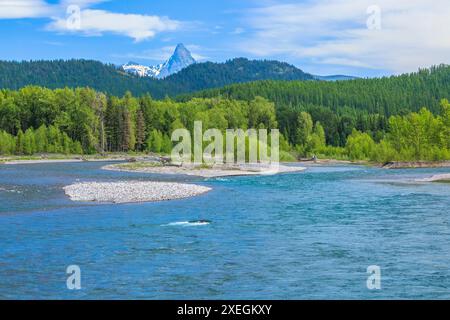 Mittlerer Fork Flathead River unterhalb des Mount saint nicholas im Gletscher-Nationalpark in der Nähe von nyack, montana Stockfoto