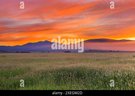Sonnenaufgang über einer Heuwiese in der Nähe von avon, montana Stockfoto
