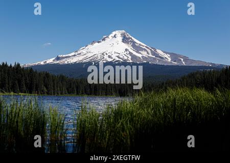 Portland, Etats Unis. Juni 2024. Landscape, Paysage, TRILLIUM LAKE, Mount HOOD, während des Portland ePrix 2024, 9. Treffens der ABB FIA Formel E Weltmeisterschaft 2023-24, auf dem Portland International Raceway vom 28. Bis 30. Juni 2024 in Portland, USA - Foto Frédéric Le Floc'h/DPPI Credit: DPPI Media/Alamy Live News Stockfoto