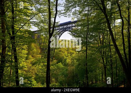 Münchner Brücke mit Dieseltriebwagen, höchste Eisenbahnbrücke Deutschlands, Solingen, Europa Stockfoto