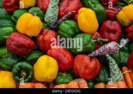 Schließen Sie buntes frisches Gemüse und Obst auf dem Markt Stockfoto