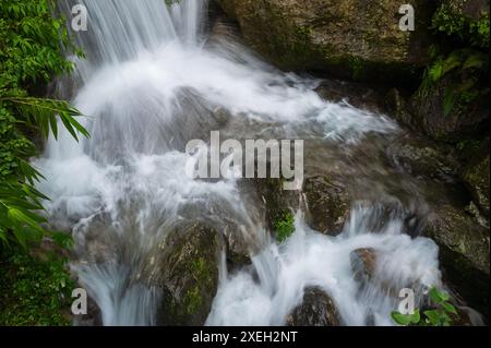 Paglajhora Wasserfall , berühmter Wasserfall im Monsun, in Kurseong, Himalaya Berge von Darjeeling, Westbengalen, Indien. Ursprung des Mahananda River. Stockfoto