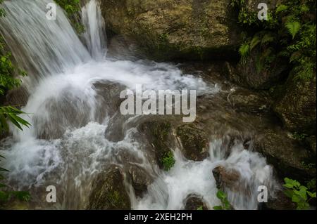 Paglajhora Wasserfall , berühmter Wasserfall im Monsun, in Kurseong, Himalaya Berge von Darjeeling, Westbengalen, Indien. Ursprung des Mahananda River. Stockfoto