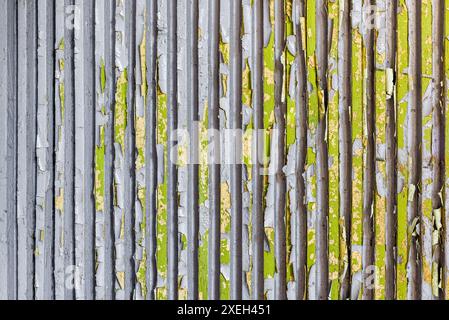 Weiße Peeling-Farbe Auf Kalkgrüner Gewellter Holzoberfläche Stockfoto