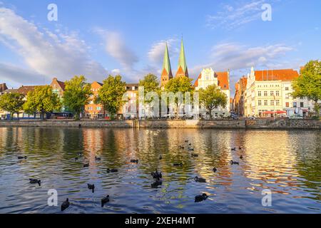 Die Altstadt von Lübeck, Deutschland mit Enten im Fluss Stockfoto