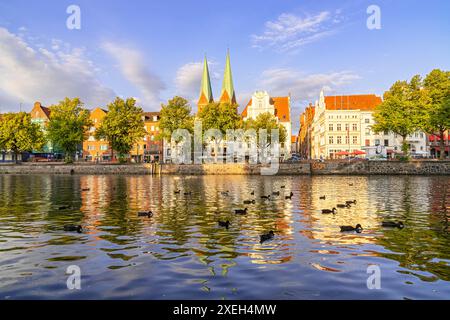 Die Altstadt von Lübeck, Deutschland mit Enten im Fluss Stockfoto