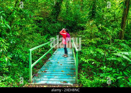 Wanderer über eine Brücke im Monte Verde Cloud Forest Preserve, Provinz Alajuela, Costa Rica Stockfoto