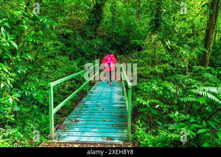 Wanderer über eine Brücke im Monte Verde Cloud Forest Preserve, Provinz Alajuela, Costa Rica Stockfoto